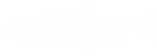 Bull Trout Icon