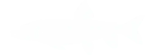 Lake Trout Icon